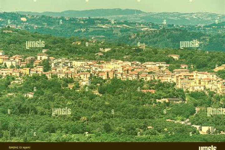 13 escort profiles in Roccabascerana, Italy. Browse companions, services, rates and book online. Incall and outcall available.