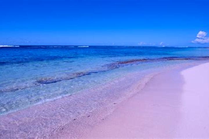 13 escort profiles in Saint-Francois, Guadeloupe. Browse companions, services, rates and book online. Incall and outcall available.