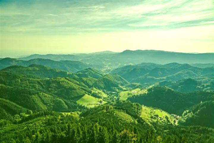 13 escort profiles in Schoenau im Schwarzwald, Germany. Browse companions, services, rates and book online. Incall and outcall available.