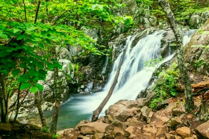 13 escort profiles in Shenandoah Heights, United States. Browse companions, services, rates and book online. Incall and outcall available.