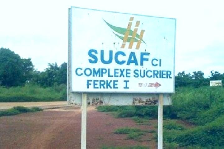 13 escort profiles in Sucaf Cite, Ivory Coast. Browse companions, services, rates and book online. Incall and outcall available.