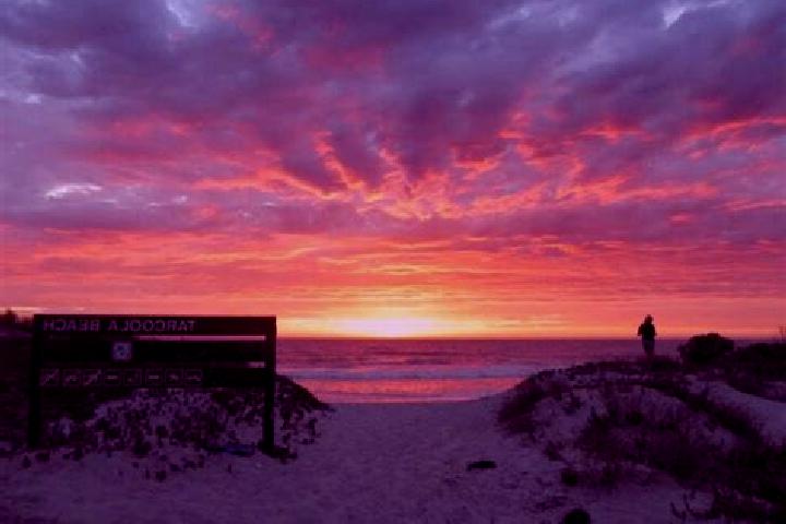 13 escort profiles in Tarcoola Beach, Australia. Browse companions, services, rates and book online. Incall and outcall available.