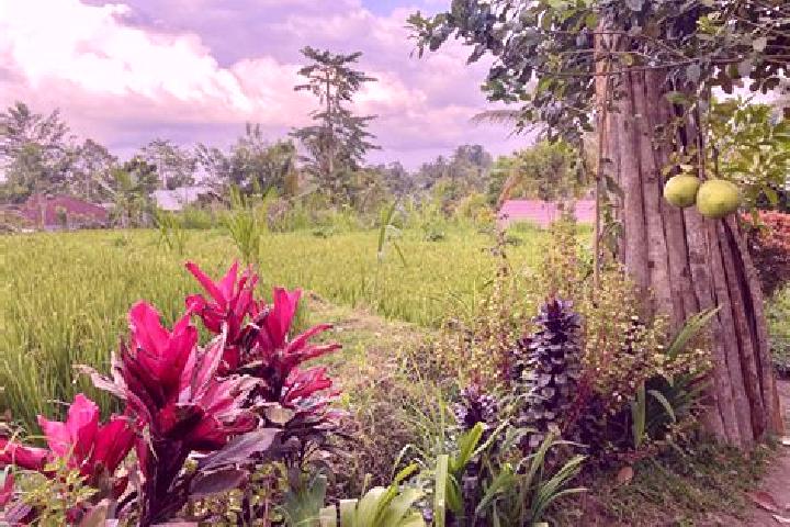13 escort profiles in Tetebatu, Indonesia. Browse companions, services, rates and book online. Incall and outcall available.