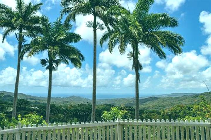 13 escort profiles in Welchman Hall, Barbados. Browse companions, services, rates and book online. Incall and outcall available.