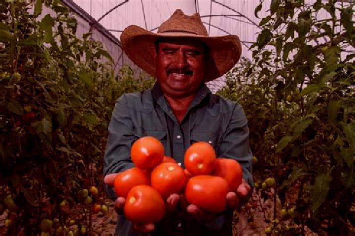 14 escort profiles in Agronomos Mexicanos, Mexico. Browse companions, services, rates and book online. Incall and outcall available.