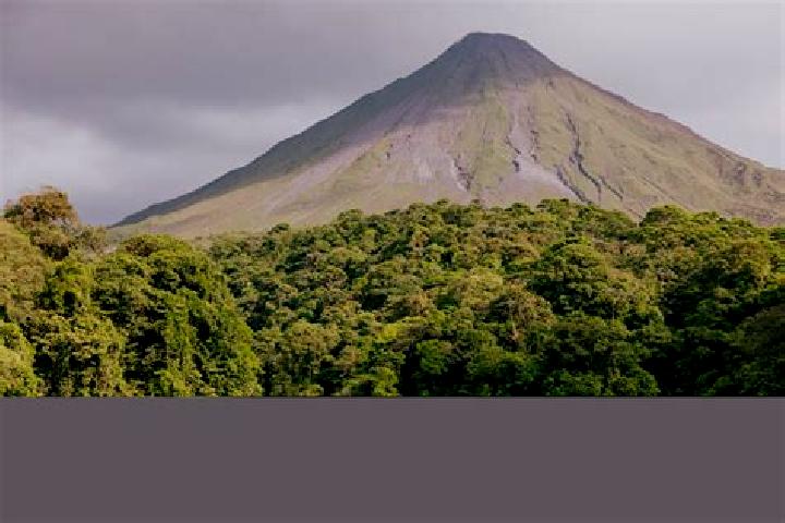 14 escort profiles in Arenal de Gomez (Primer Arenal), Mexico. Browse companions, services, rates and book online. Incall and outcall available.