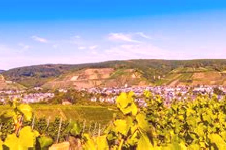 14 escort profiles in Bad Neuenahr-Ahrweiler, Germany. Browse companions, services, rates and book online. Incall and outcall available.