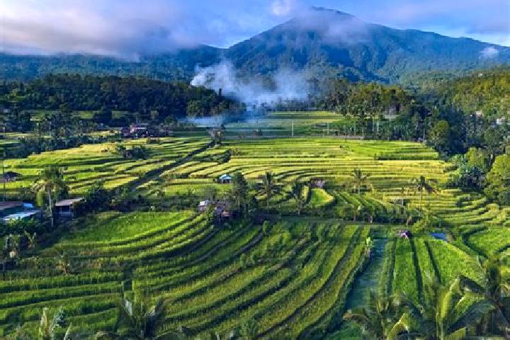 14 escort profiles in Banjar Ababi, Indonesia. Browse companions, services, rates and book online. Incall and outcall available.