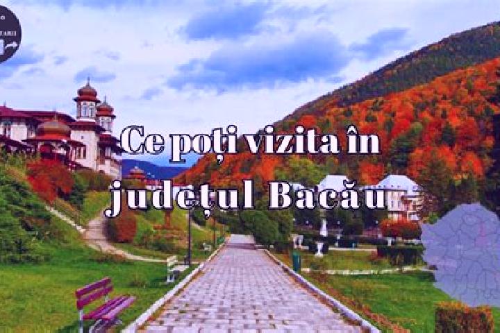 14 escort profiles in Benesti, Romania. Browse companions, services, rates and book online. Incall and outcall available.