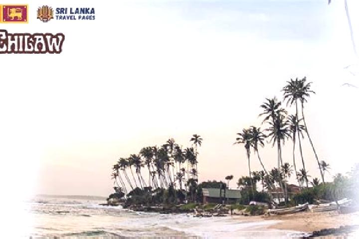 14 escort profiles in Chilaw, Sri Lanka. Browse companions, services, rates and book online. Incall and outcall available.