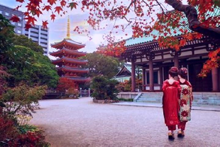 14 escort profiles in Fukaya, Japan. Browse companions, services, rates and book online. Incall and outcall available.