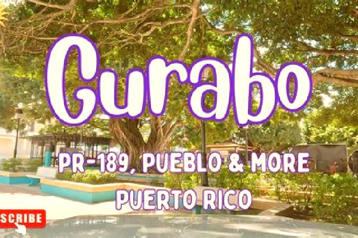14 escort profiles in Gurabo, Puerto Rico. Browse companions, services, rates and book online. Incall and outcall available.