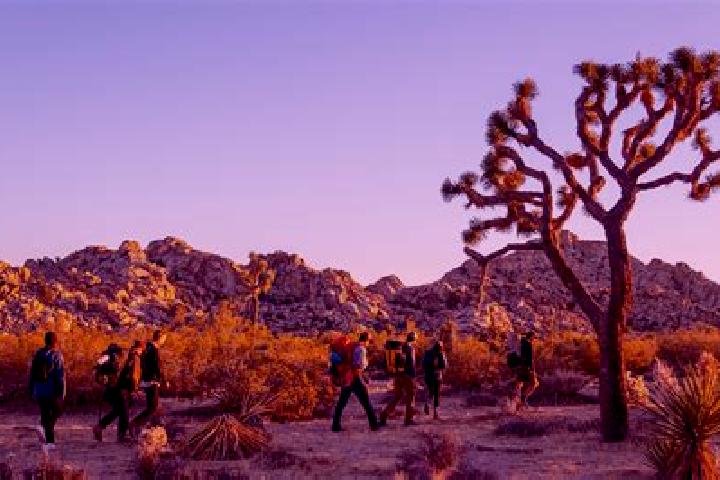 14 escort profiles in Joshua Tree, United States. Browse companions, services, rates and book online. Incall and outcall available.