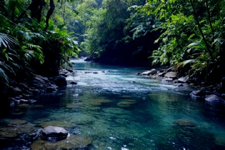 14 escort profiles in Los Rios, Dominican Republic. Browse companions, services, rates and book online. Incall and outcall available.