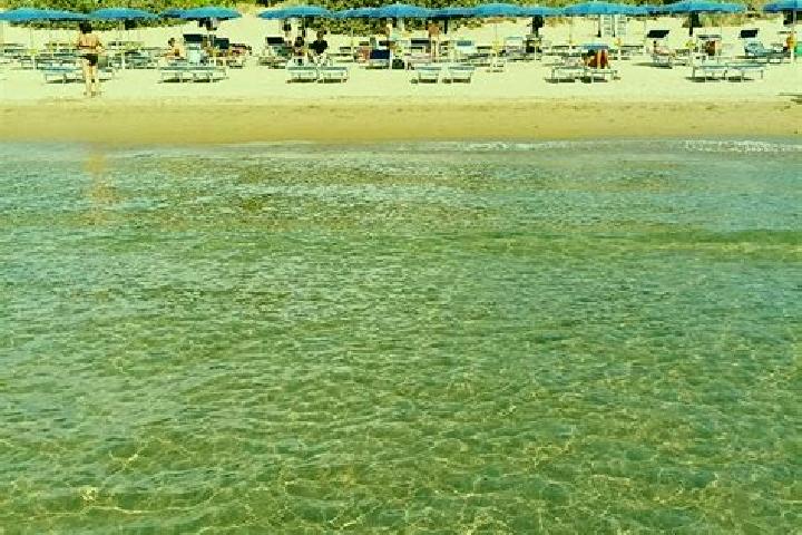 14 escort profiles in Orbetello Scalo, Italy. Browse companions, services, rates and book online. Incall and outcall available.
