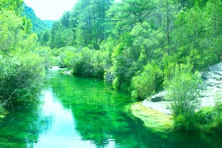14 escort profiles in Peralejos de las Truchas, Spain. Browse companions, services, rates and book online. Incall and outcall available.