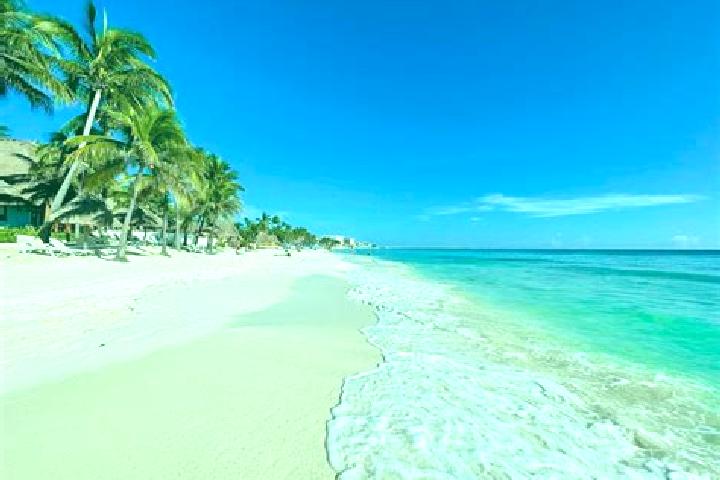 14 escort profiles in Playa del Carmen, Mexico. Browse companions, services, rates and book online. Incall and outcall available.
