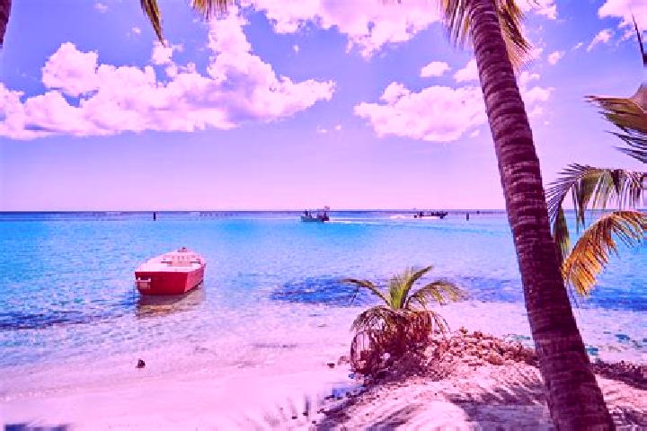 14 escort profiles in Santo Domingo Latani, Mexico. Browse companions, services, rates and book online. Incall and outcall available.