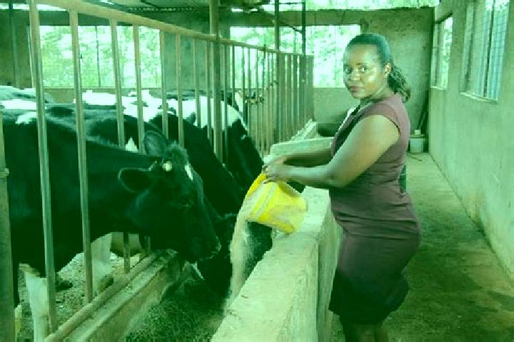 14 escort profiles in South Kinangop, Kenya. Browse companions, services, rates and book online. Incall and outcall available.