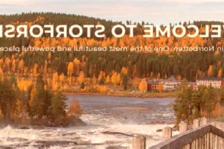 14 escort profiles in Storfors, Sweden. Browse companions, services, rates and book online. Incall and outcall available.
