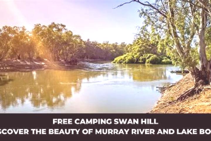 14 escort profiles in Swan Reach, Australia. Browse companions, services, rates and book online. Incall and outcall available.