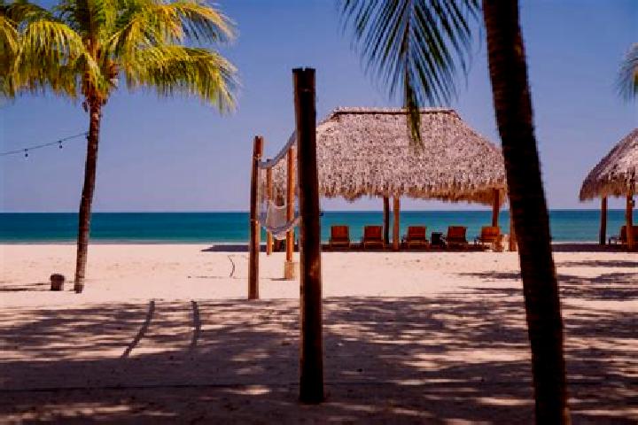 14 escort profiles in Tola, Nicaragua. Browse companions, services, rates and book online. Incall and outcall available.