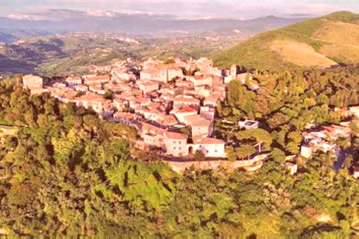 14 escort profiles in Torricella in Sabina, Italy. Browse companions, services, rates and book online. Incall and outcall available.