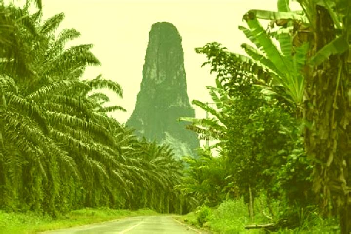 15 escort profiles in Agua Porca, Sao Tome and Principe. Browse companions, services, rates and book online. Incall and outcall available.
