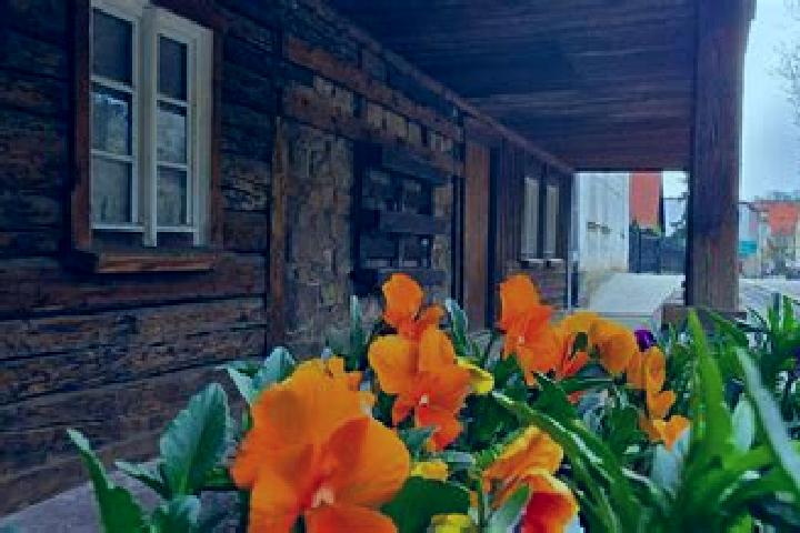 15 escort profiles in Czarny Bor, Poland. Browse companions, services, rates and book online. Incall and outcall available.