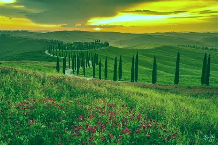 15 escort profiles in Dronero, Italy. Browse companions, services, rates and book online. Incall and outcall available.