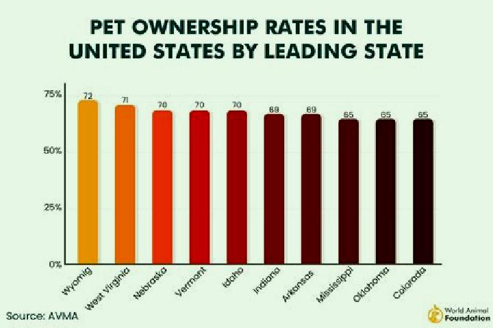 15 escort profiles in Leary, United States. Browse companions, services, rates and book online. Incall and outcall available.