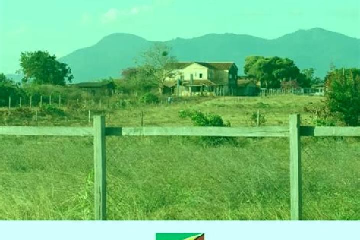 15 escort profiles in Lethem, Guyana. Browse companions, services, rates and book online. Incall and outcall available.