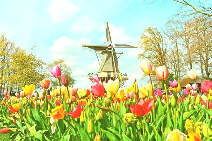 15 escort profiles in Lisse, Netherlands. Browse companions, services, rates and book online. Incall and outcall available.