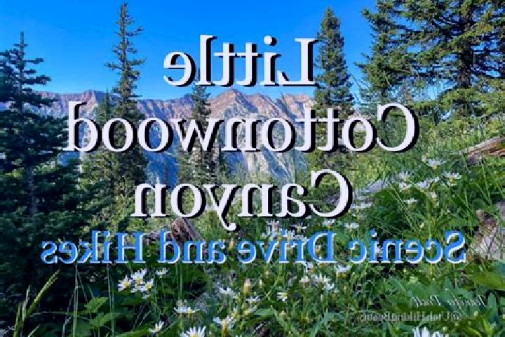 15 escort profiles in Little Cottonwood Creek Valley, United States. Browse companions, services, rates and book online. Incall and outcall available.