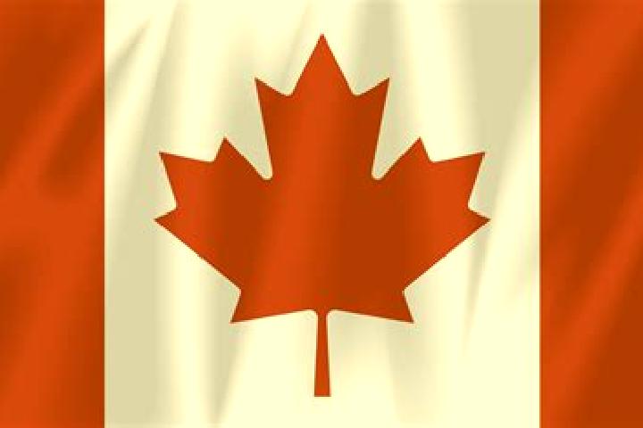 15 escort profiles in Maple Leaf, Canada. Browse companions, services, rates and book online. Incall and outcall available.