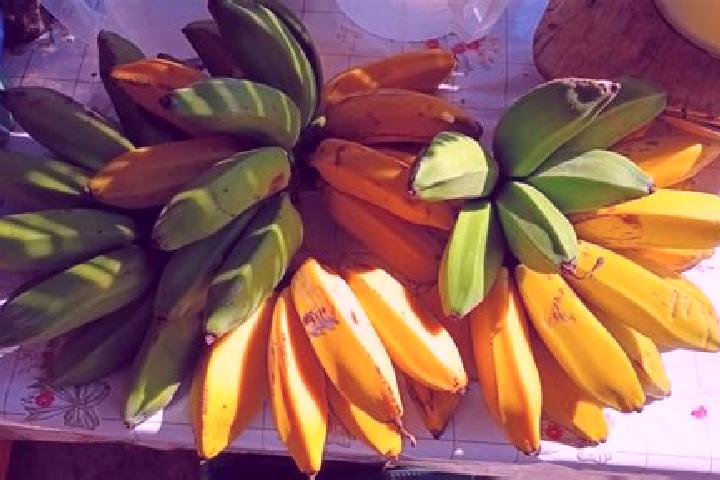 15 escort profiles in Mata de Platano, Mexico. Browse companions, services, rates and book online. Incall and outcall available.