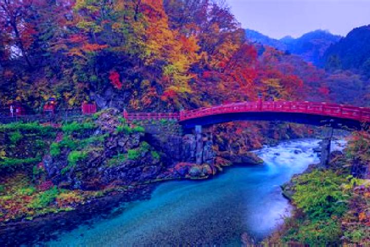 15 escort profiles in Nikko, Japan. Browse companions, services, rates and book online. Incall and outcall available.