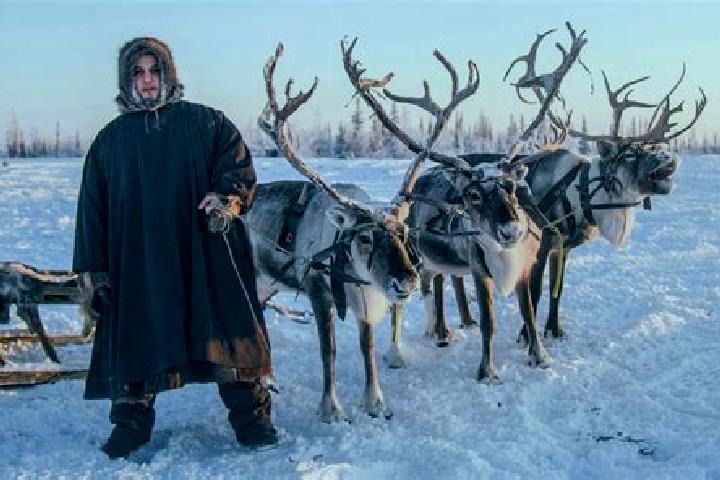 15 escort profiles in Oymyakon, Russia. Browse companions, services, rates and book online. Incall and outcall available.