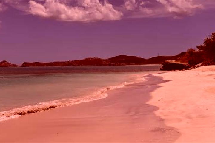 15 escort profiles in Parham, Antigua and Barbuda. Browse companions, services, rates and book online. Incall and outcall available.