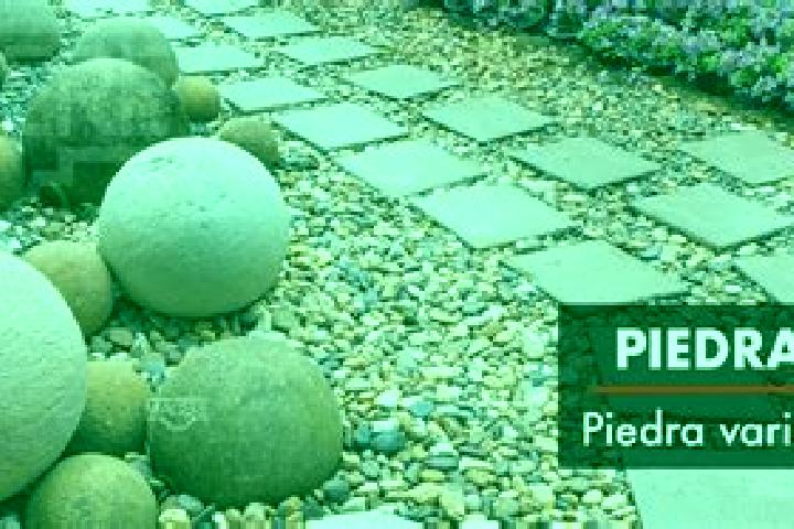 15 escort profiles in Piedras Grandes, Mexico. Browse companions, services, rates and book online. Incall and outcall available.
