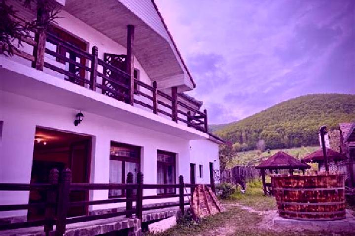 15 escort profiles in Poiana Aiudului, Romania. Browse companions, services, rates and book online. Incall and outcall available.