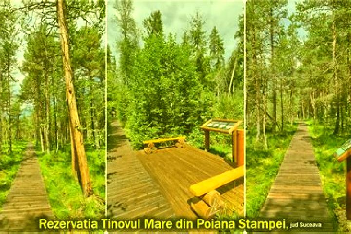 15 escort profiles in Poiana lui Stanga, Romania. Browse companions, services, rates and book online. Incall and outcall available.