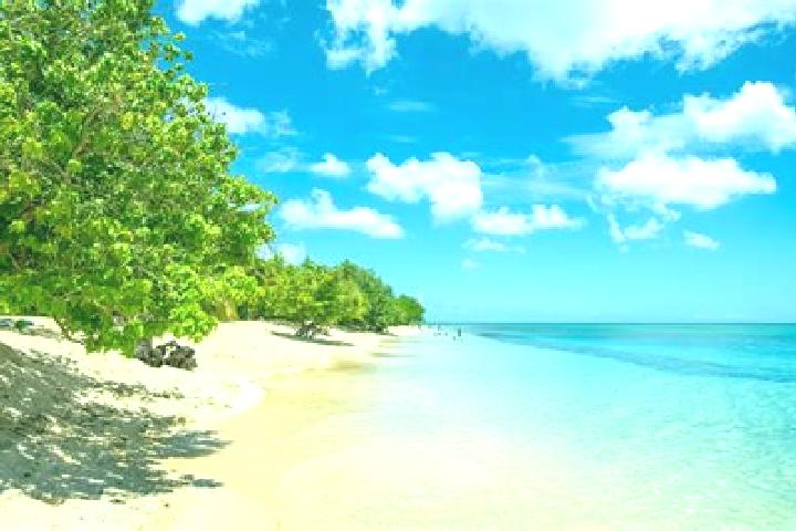 15 escort profiles in Pointe-a-Pitre, Guadeloupe. Browse companions, services, rates and book online. Incall and outcall available.