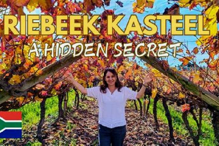 15 escort profiles in Riebeek West, South Africa. Browse companions, services, rates and book online. Incall and outcall available.