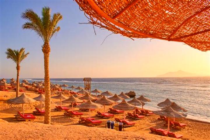 15 escort profiles in Sieblo Oula, Ivory Coast. Browse companions, services, rates and book online. Incall and outcall available.