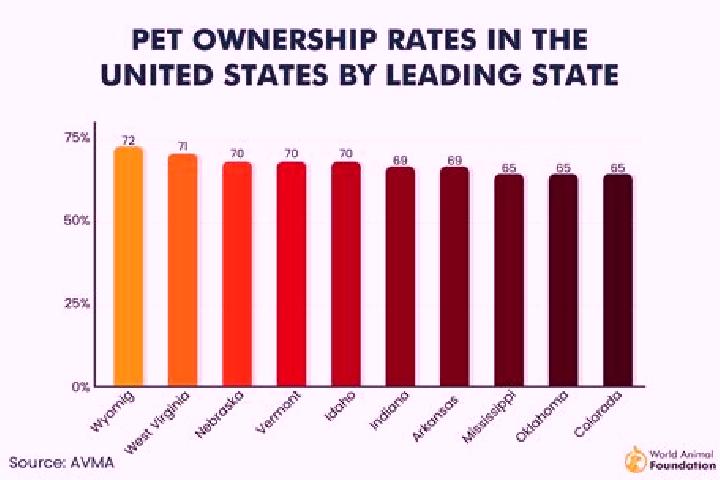 15 escort profiles in Star Valley, United States. Browse companions, services, rates and book online. Incall and outcall available.