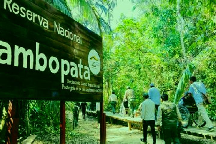 15 escort profiles in Tambopata, Peru. Browse companions, services, rates and book online. Incall and outcall available.