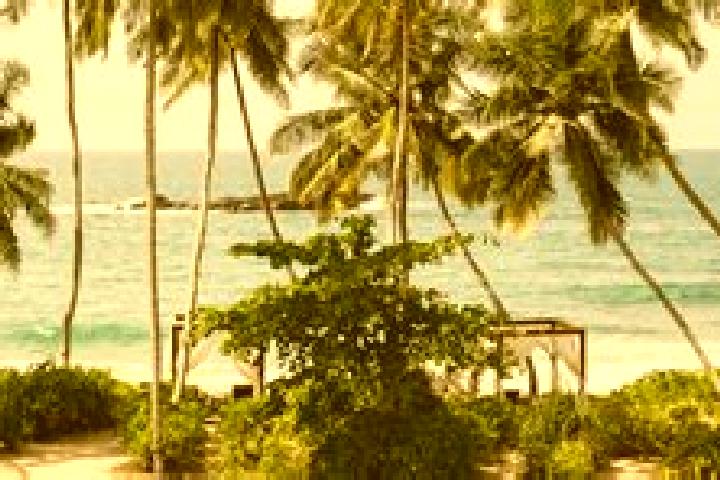 15 escort profiles in Tangalle, Sri Lanka. Browse companions, services, rates and book online. Incall and outcall available.