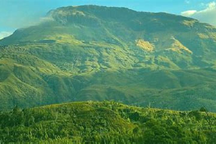 15 escort profiles in Tsaratanana, Madagascar. Browse companions, services, rates and book online. Incall and outcall available.