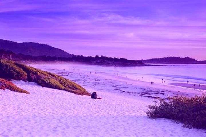 6 escort profiles in Carmel-by-the-Sea, United States. Browse companions, services, rates and book online. Incall and outcall available.